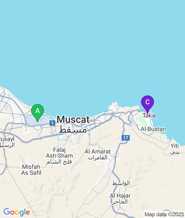 Muscat Available Airport Options